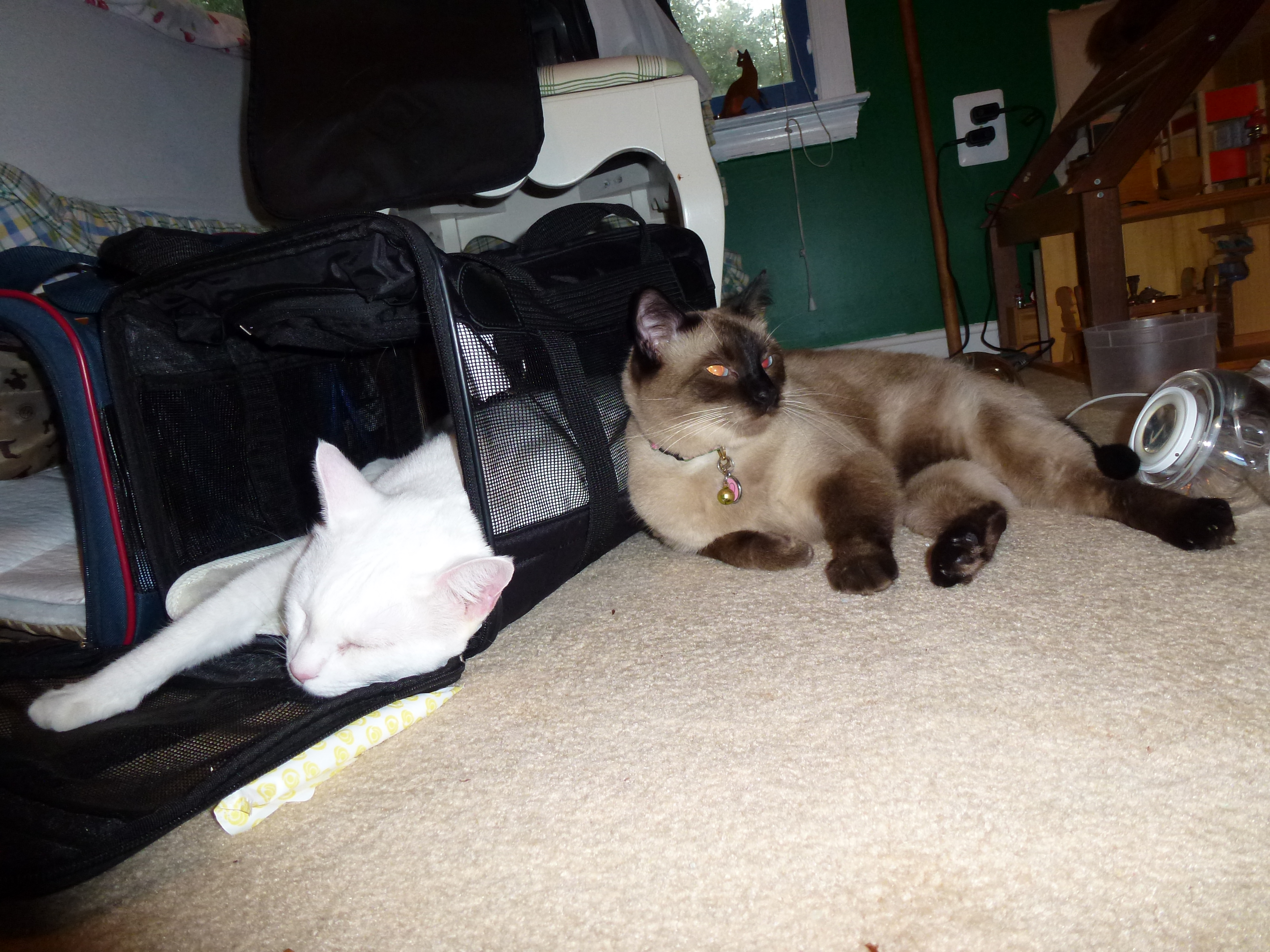 Leelou and Mali