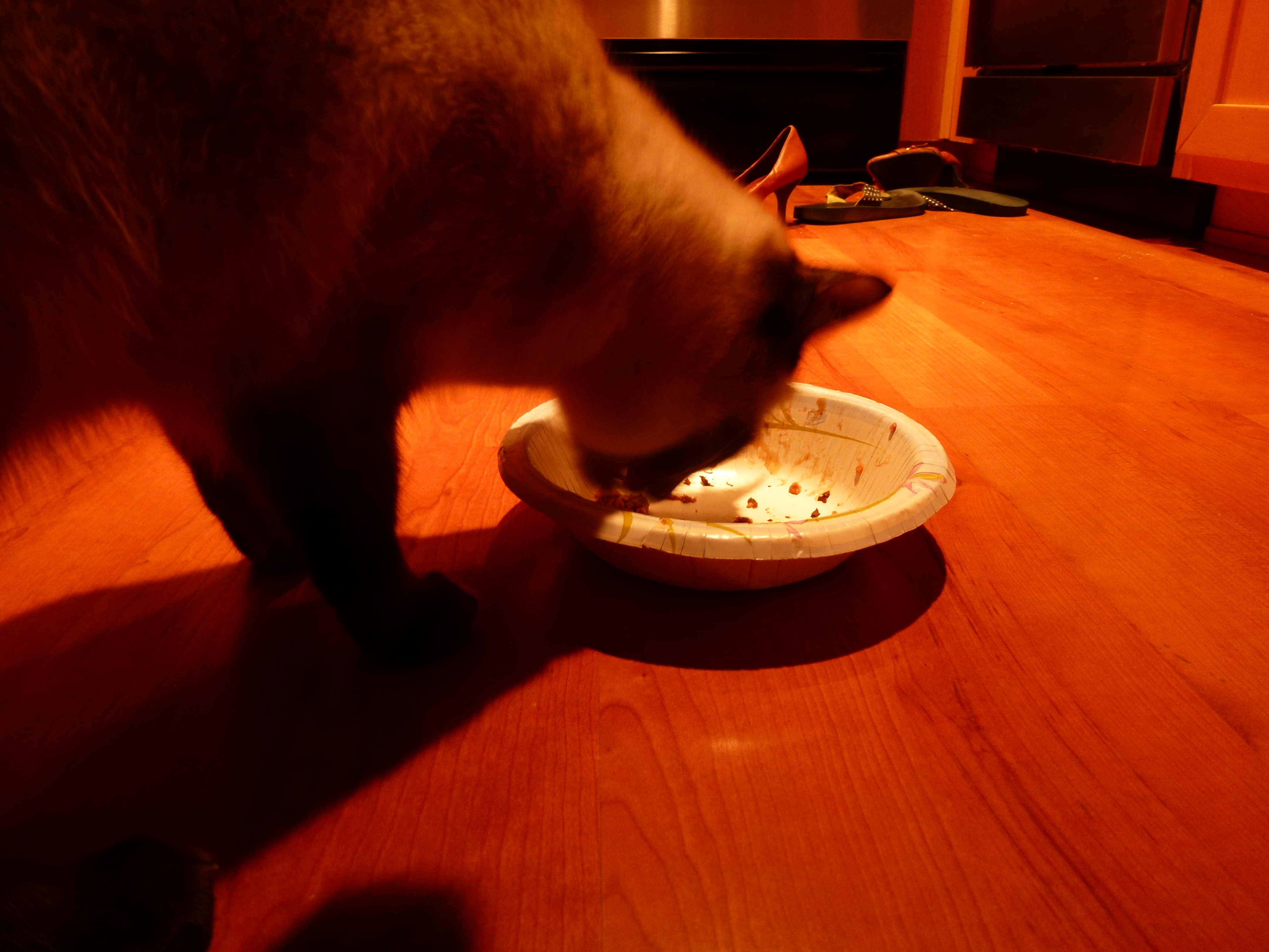 Beefy Feast is apparently a good breakfast.