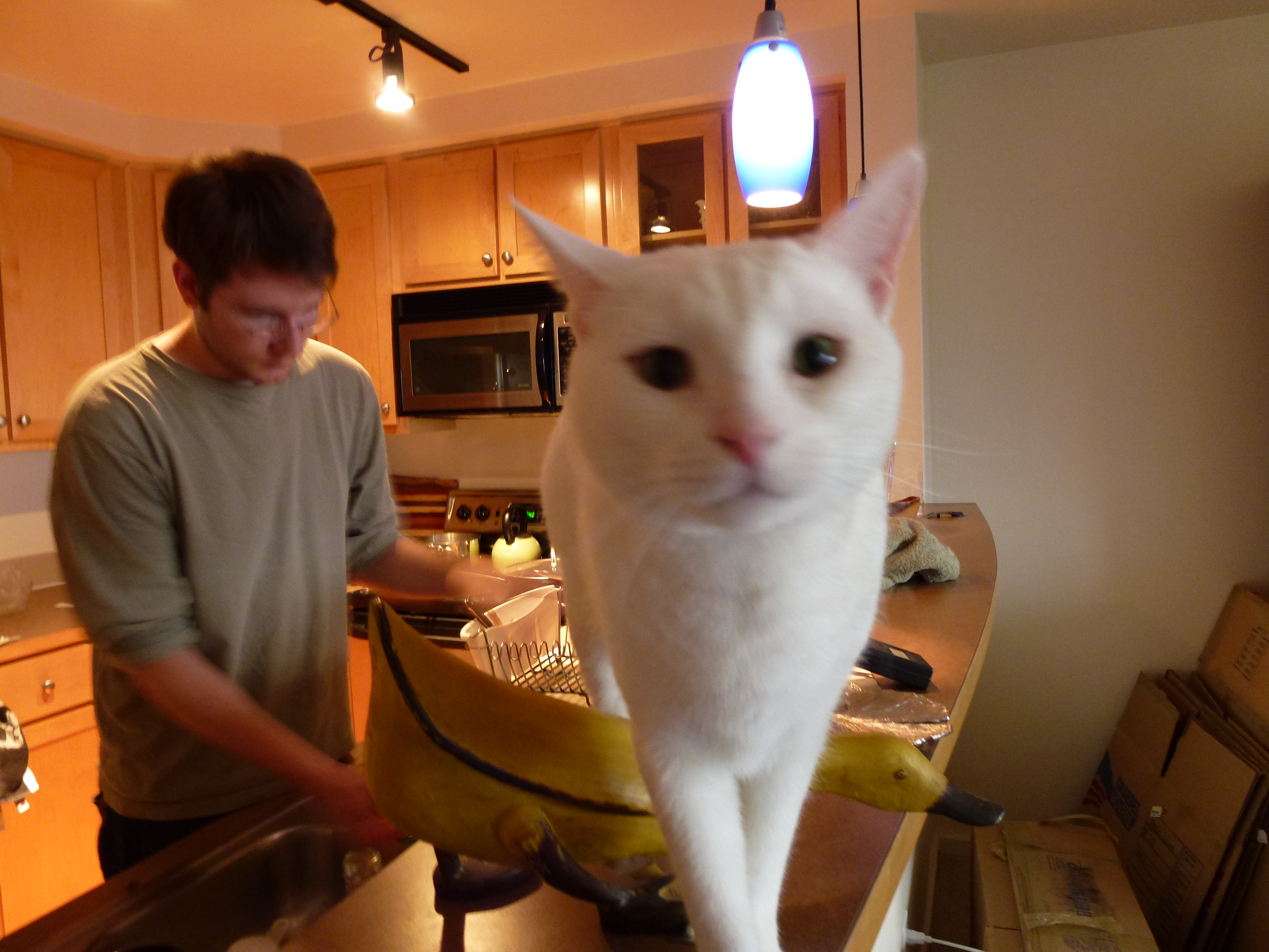 Lee helping Chris clean after dinner.