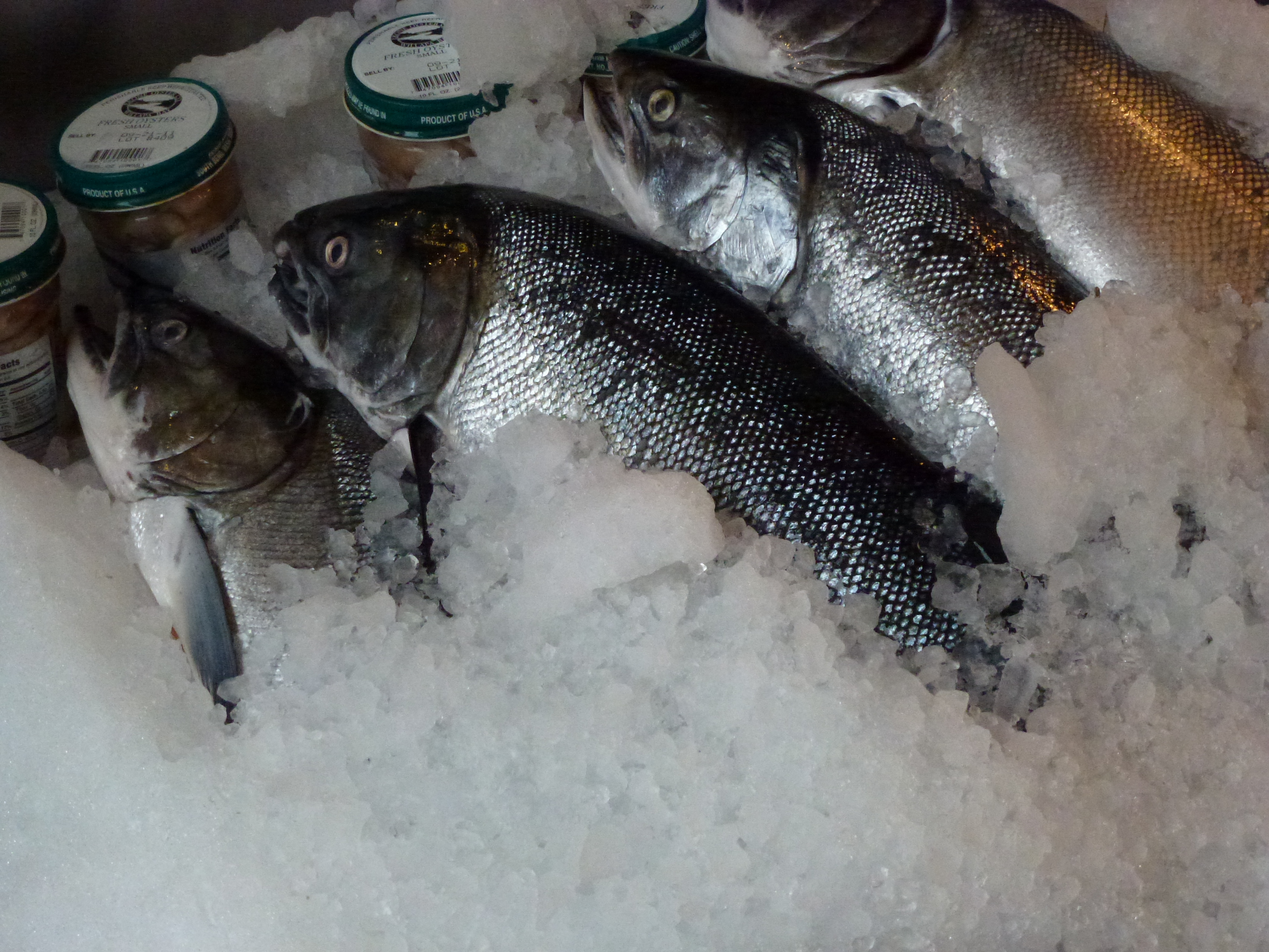 Fishy Feast