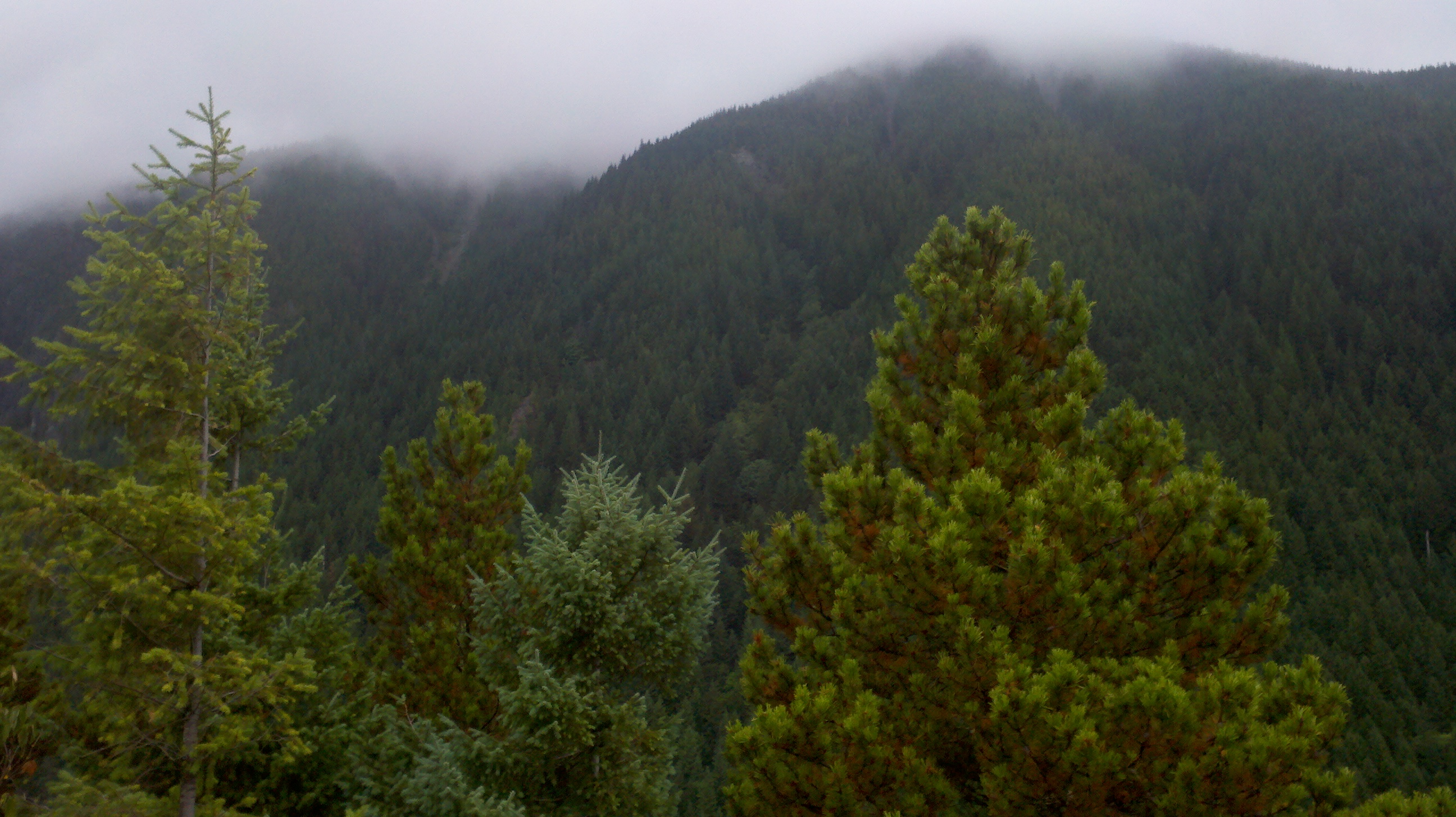 Mount Si across the way. And many, many pine trees.