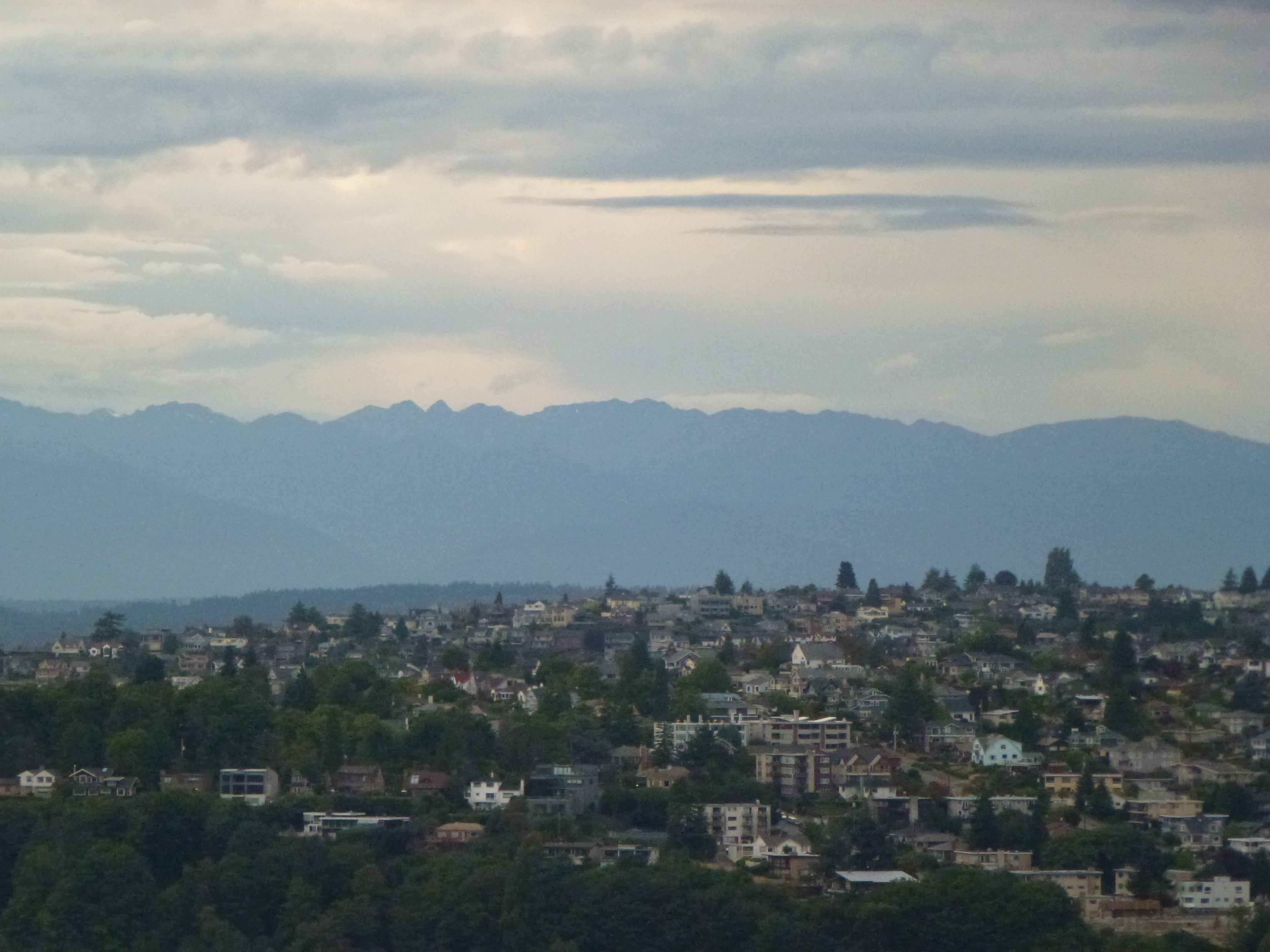 Magnolia neighborhood with the Olympics across the sound