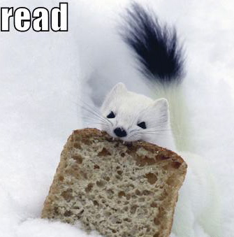 Living in the north also means you probably eat snow weasel