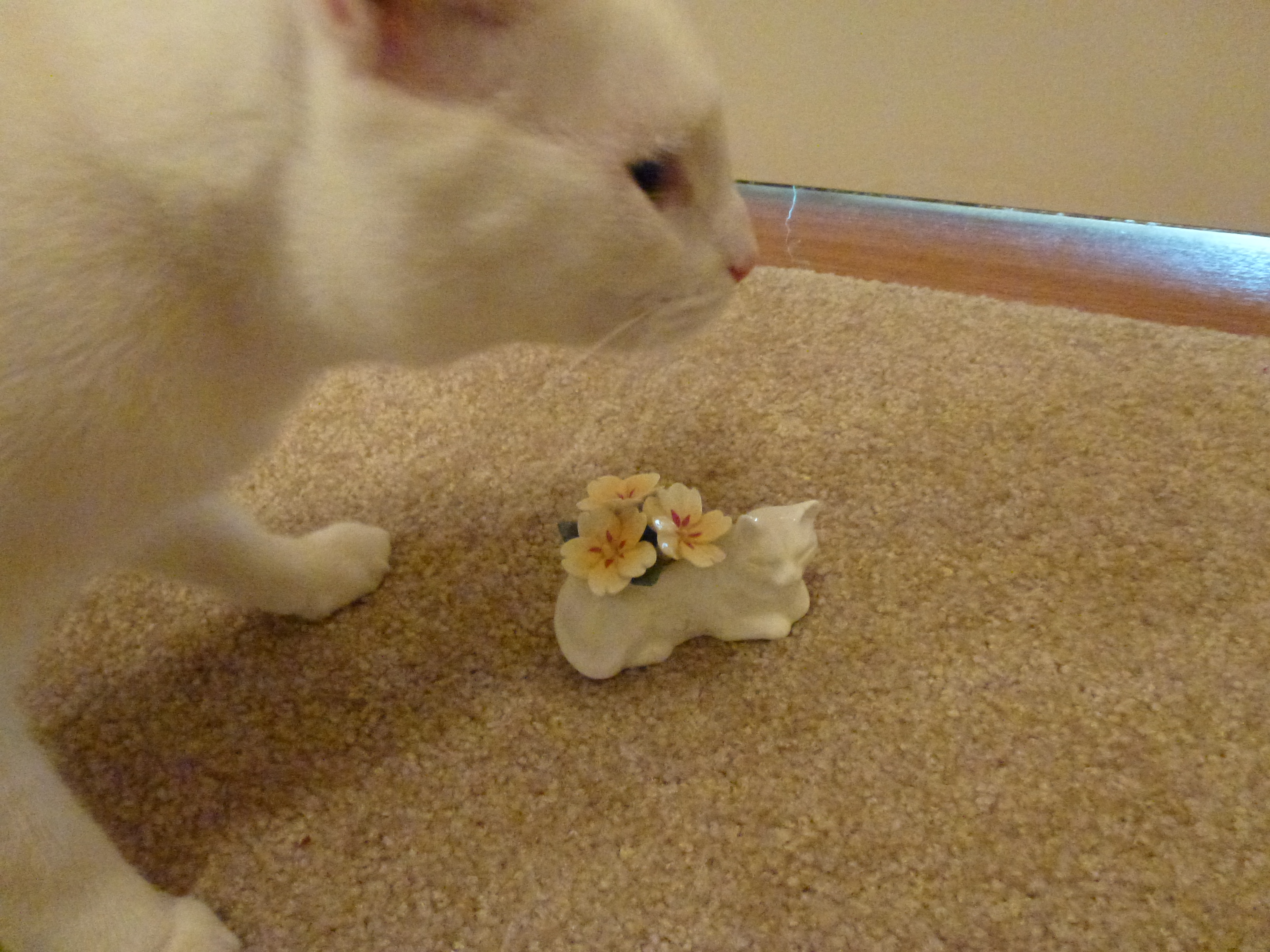 It is a little china Lee!