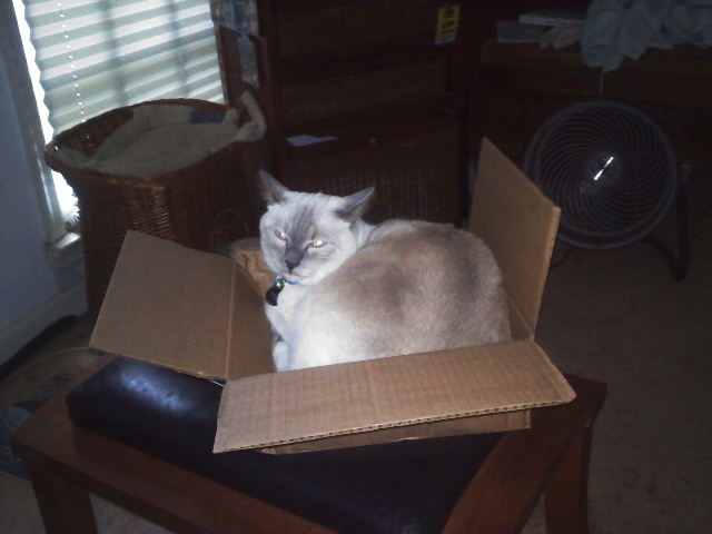 Just box it up and send it up here!