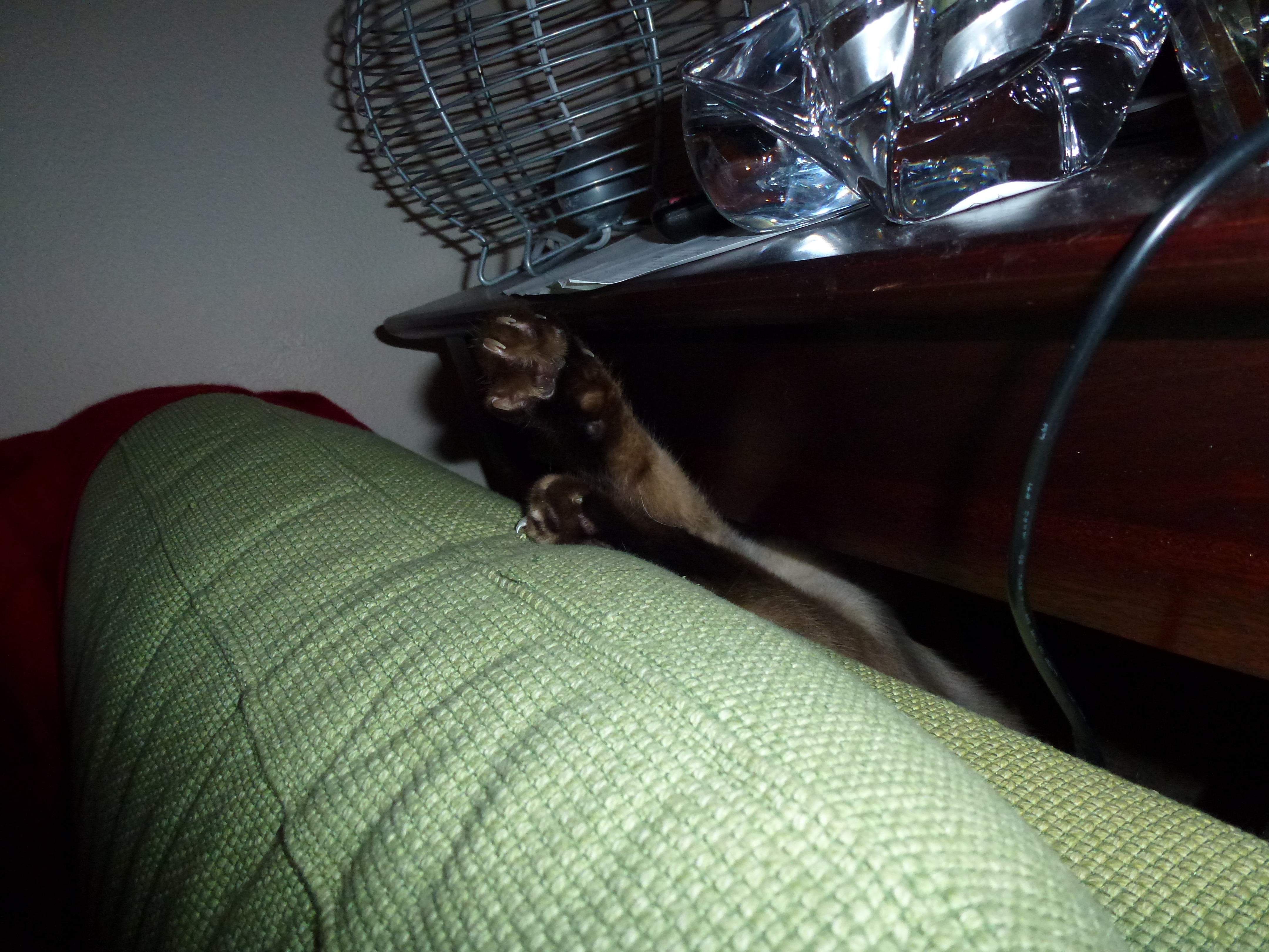 The Sofa Monster