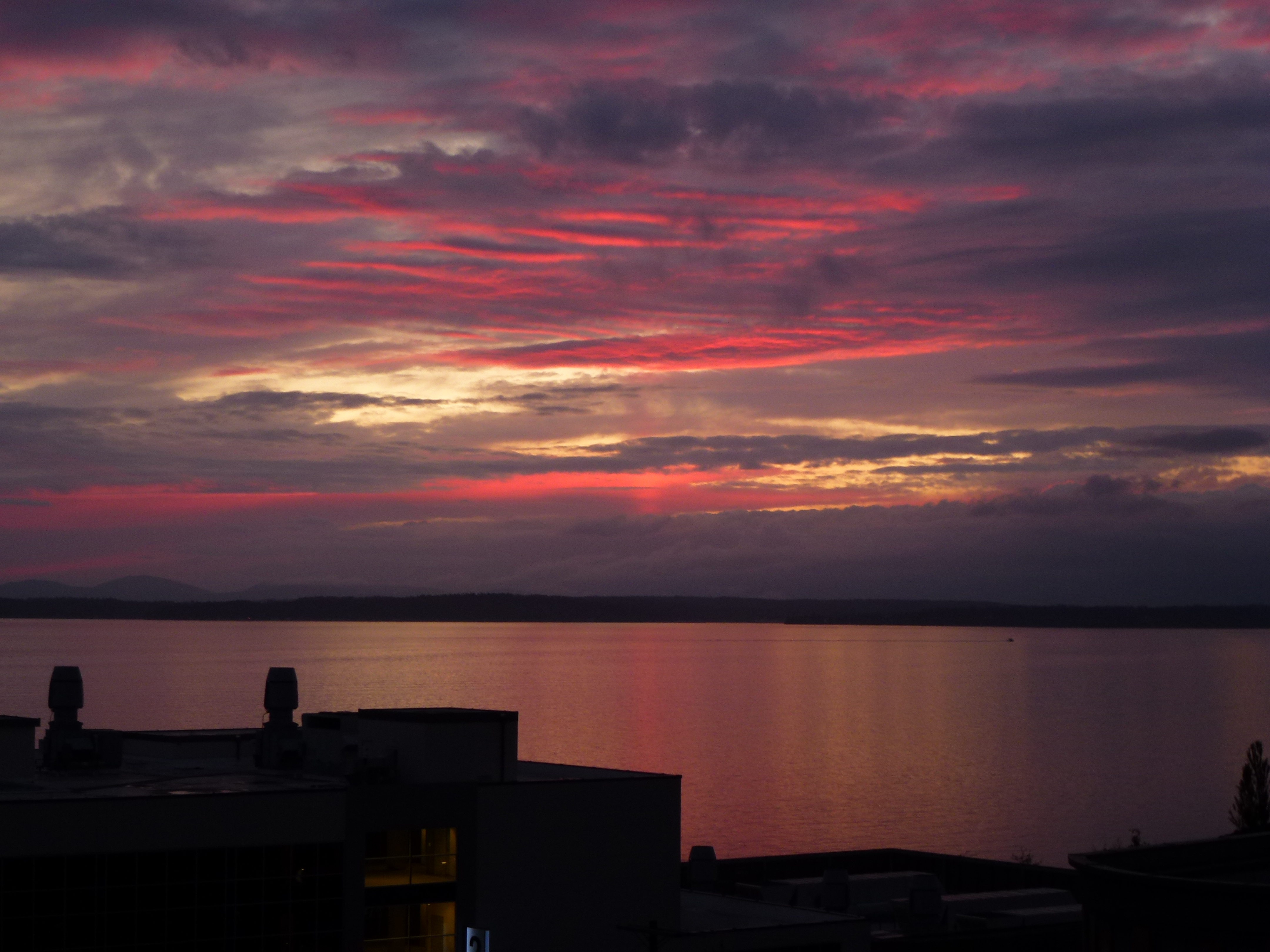 Neon Pink Sunset