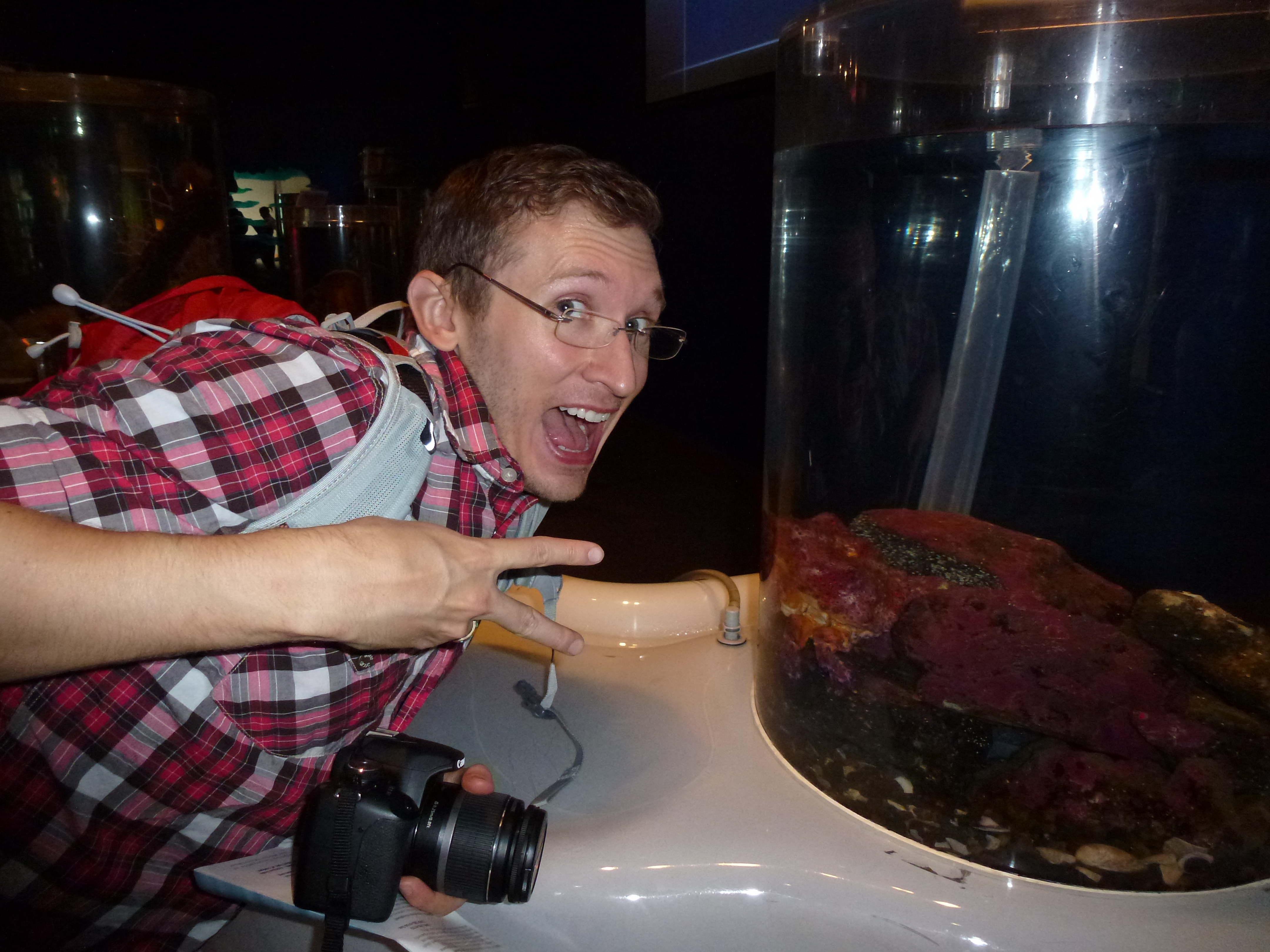 Here is Kai looking at a crab.