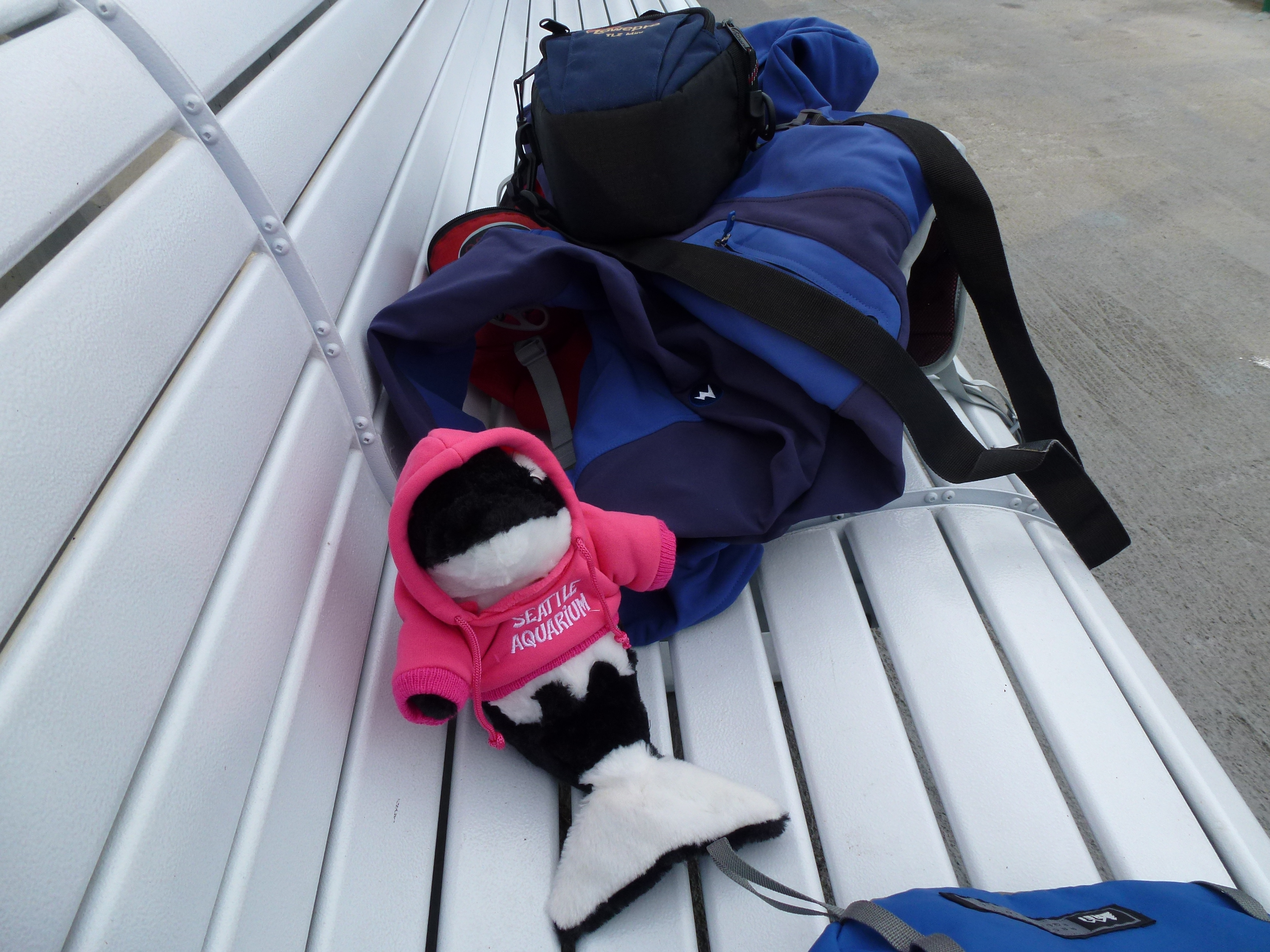 Hoodie Orca had sea-legs