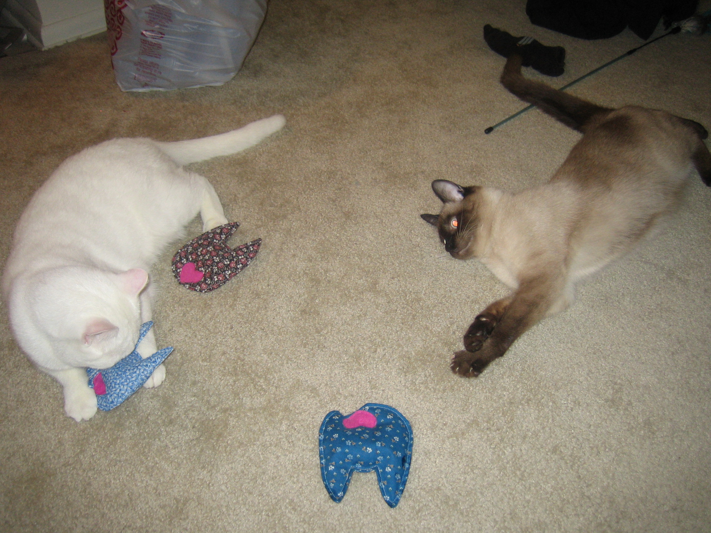 Bed Demons