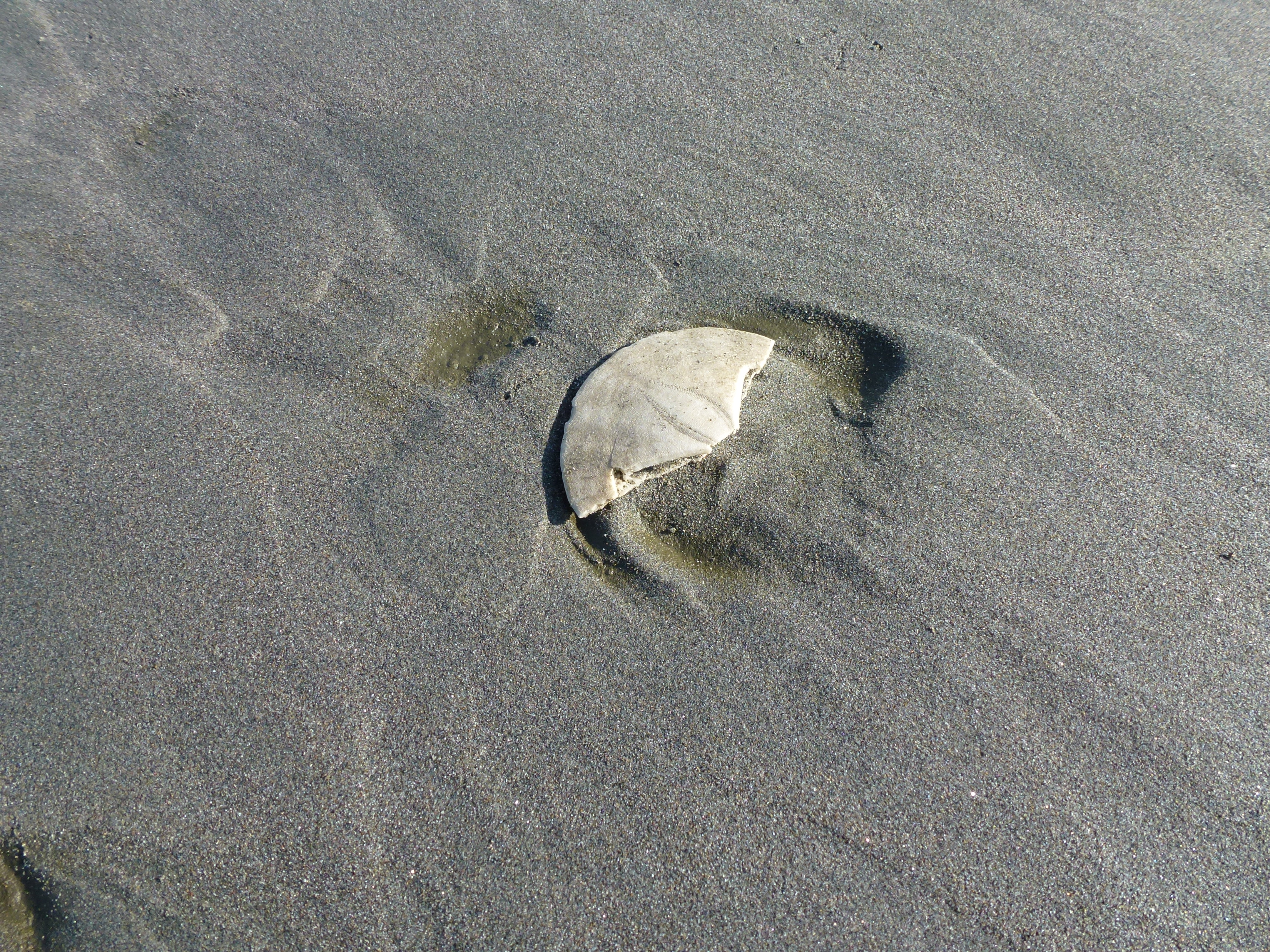 This one is broken so it is a sand Fifty Cent Piece.