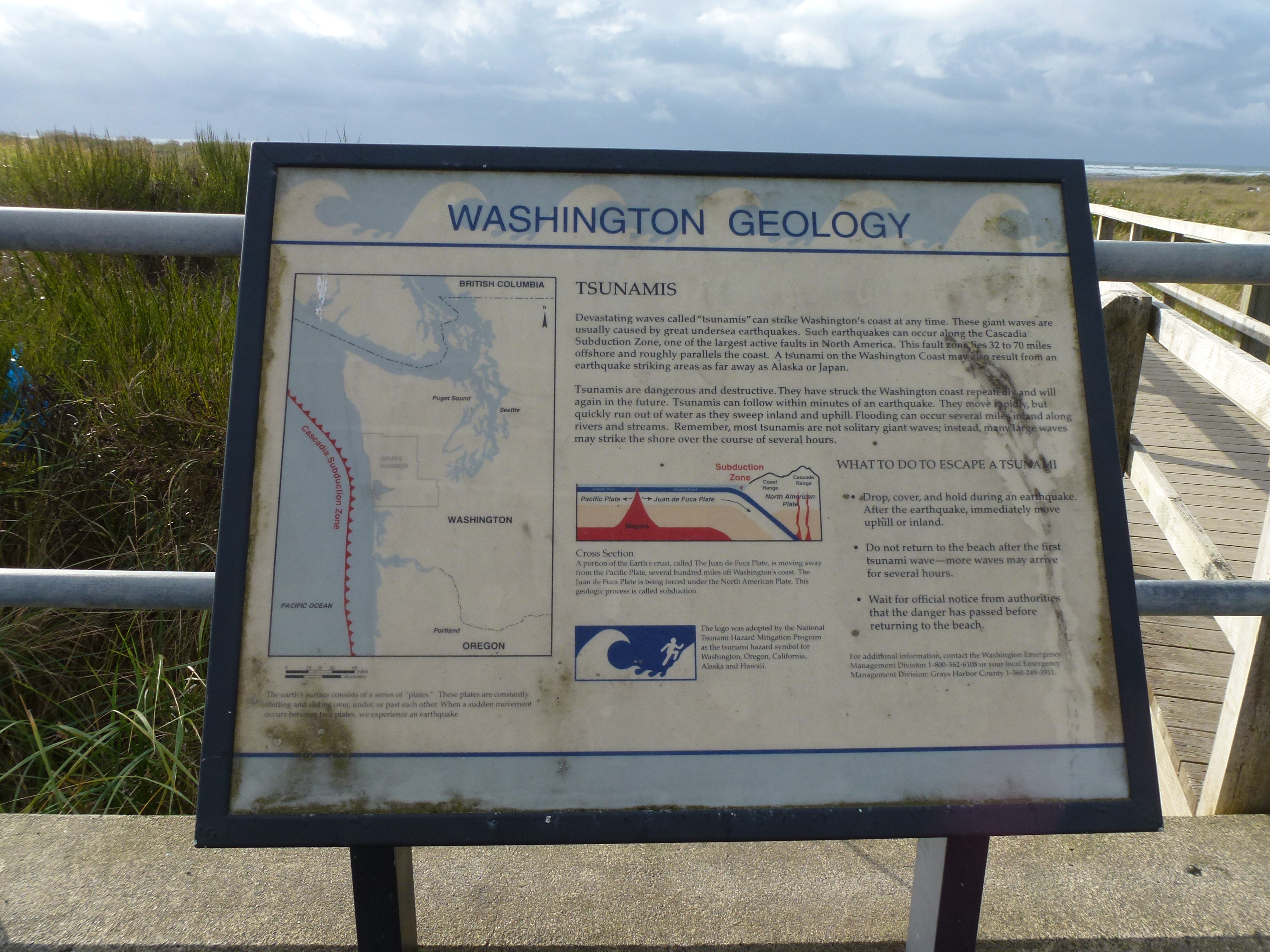 They pretend Tsunami are caused by Earthquakes so as not to alarm the populace