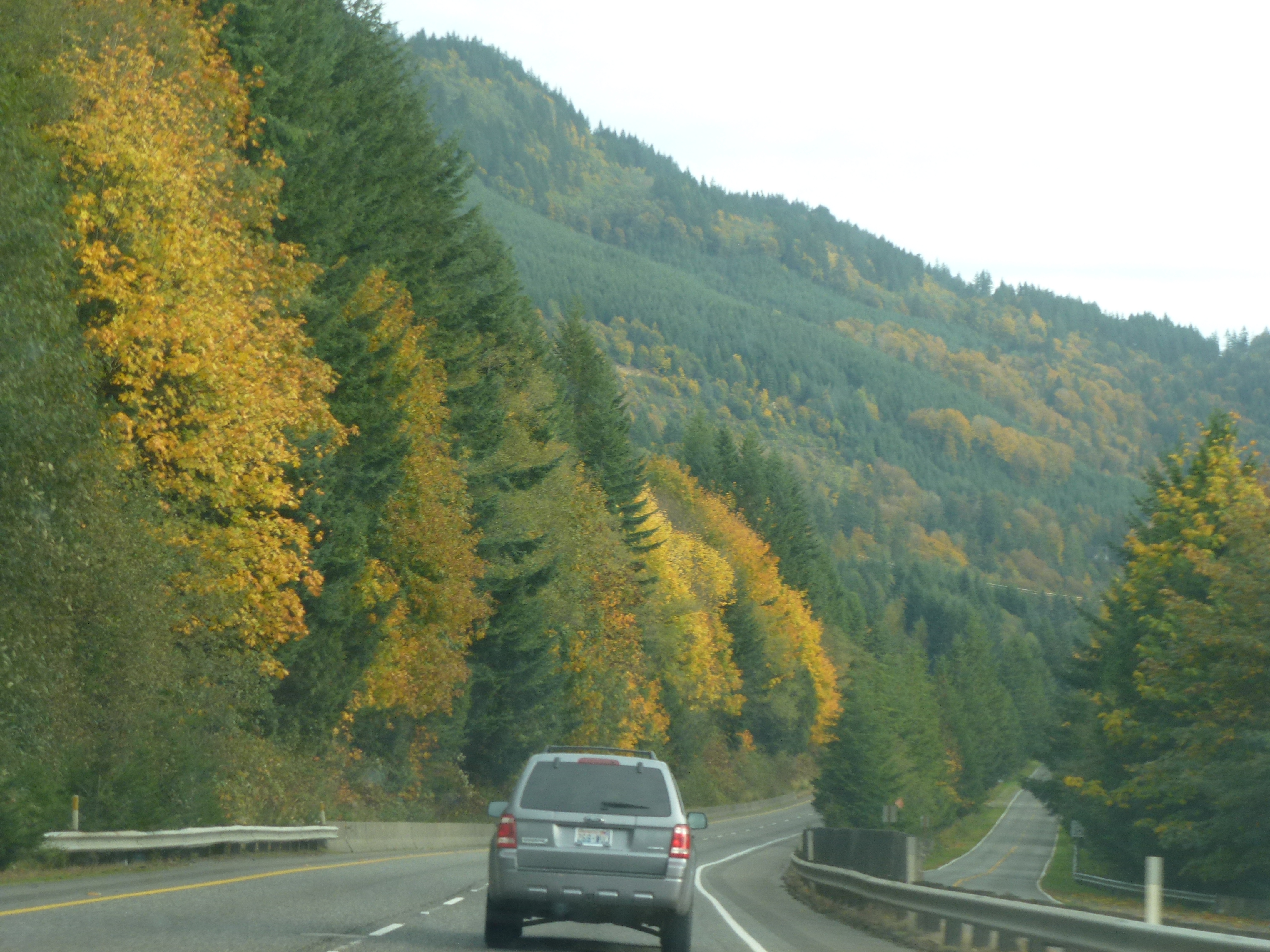 Fall Colours