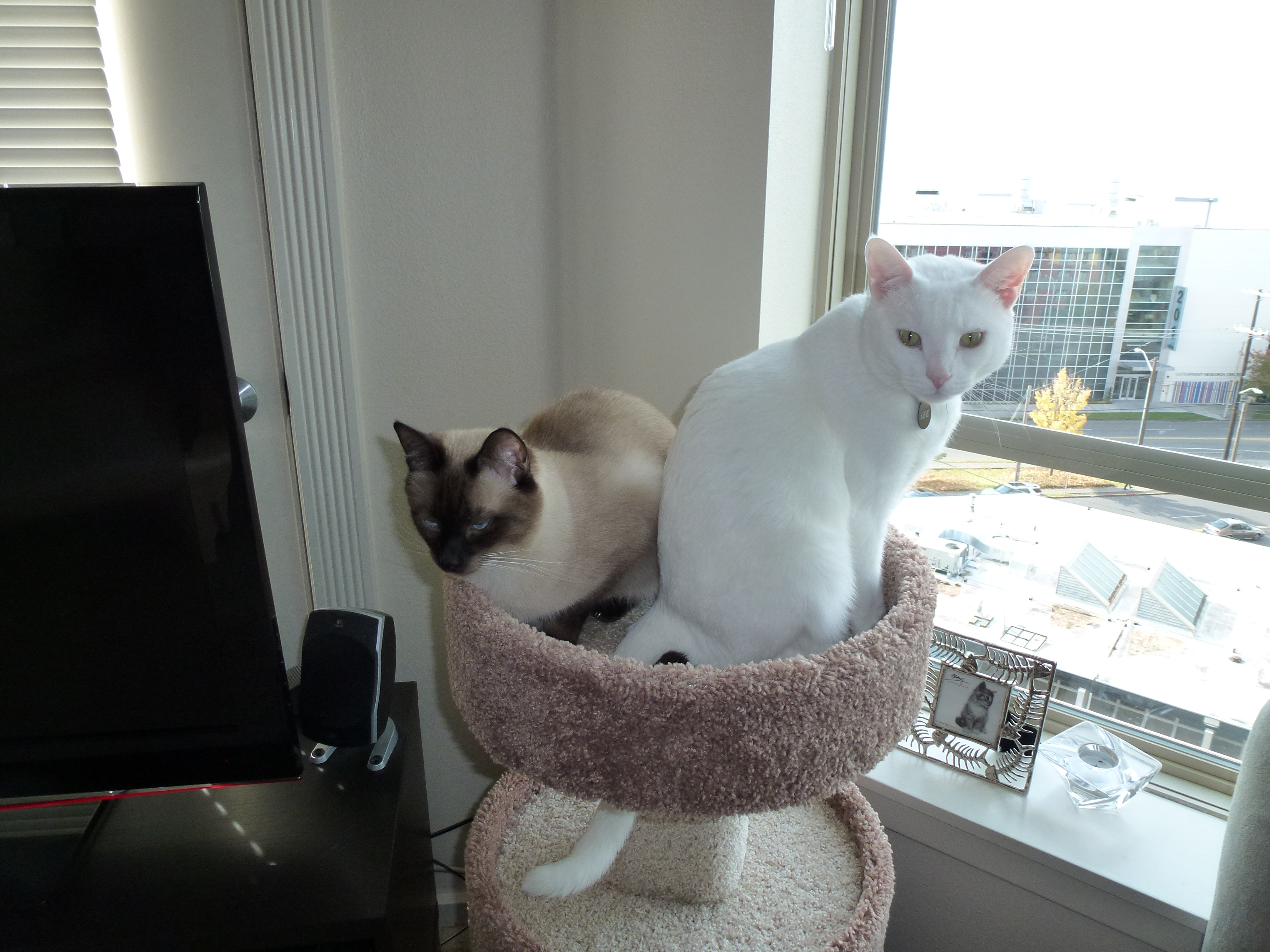 We want to go to University of Utah!