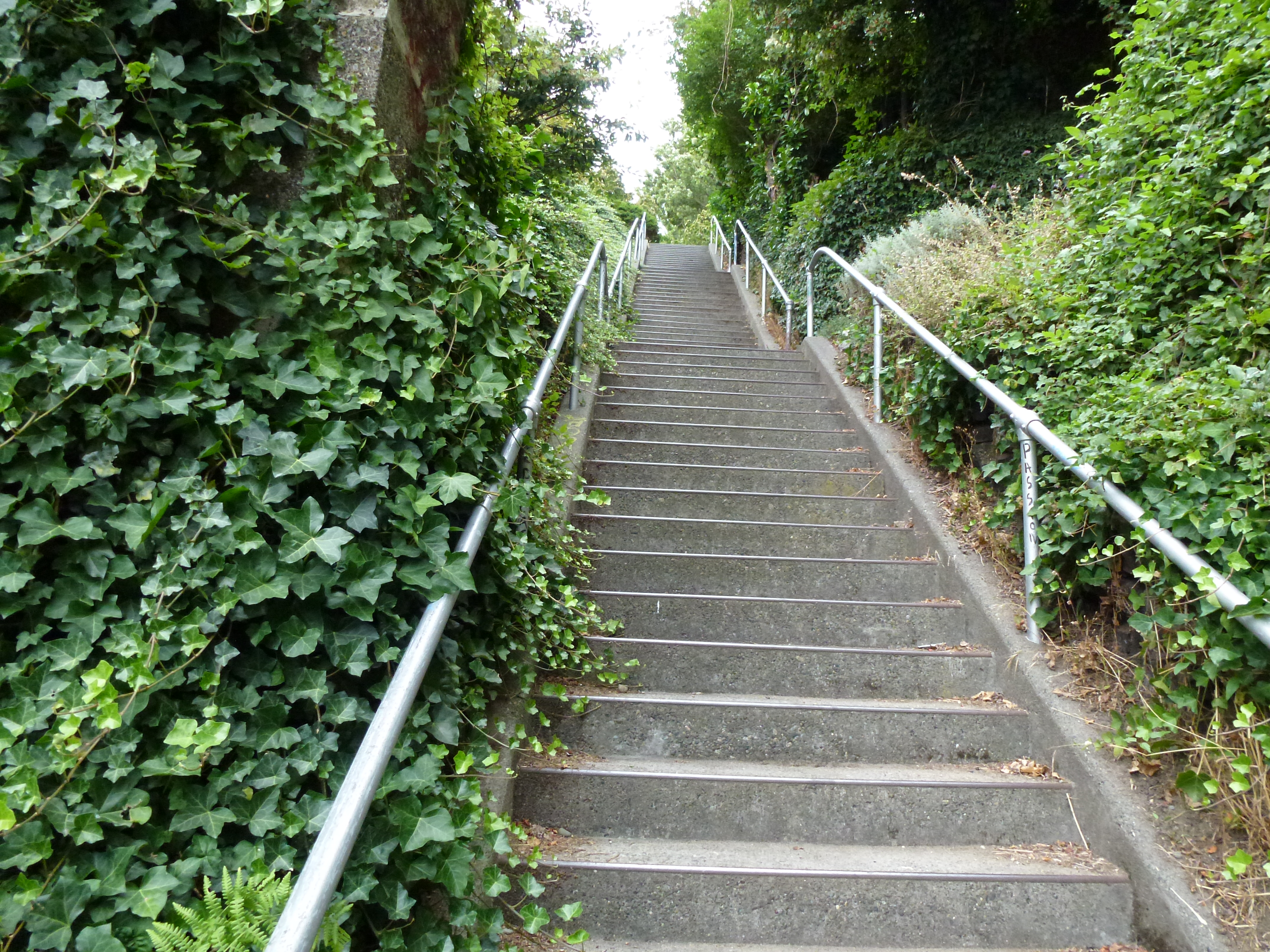 Stairs up the Mountain