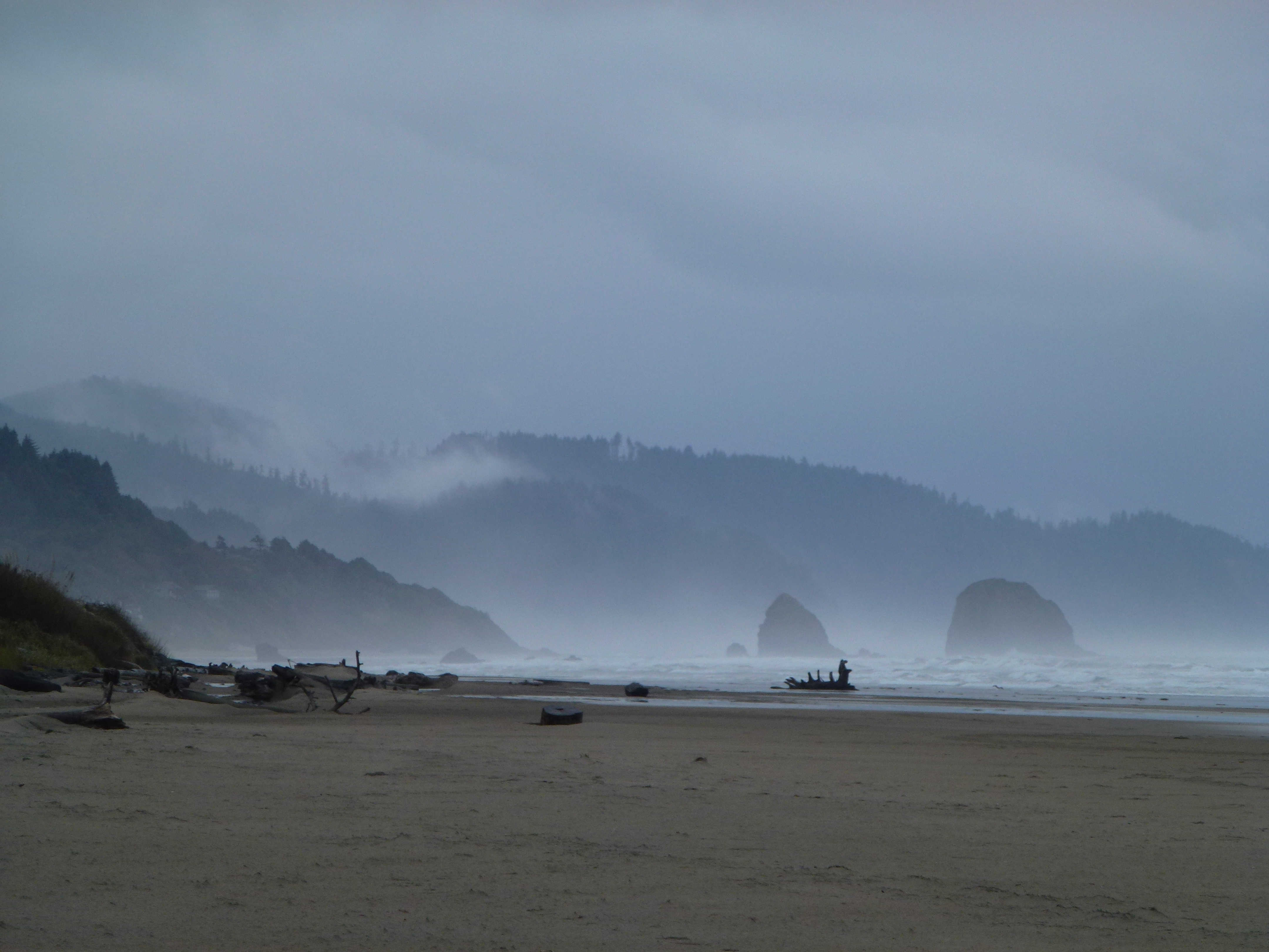 Mist, cold, beach. No dead whale.