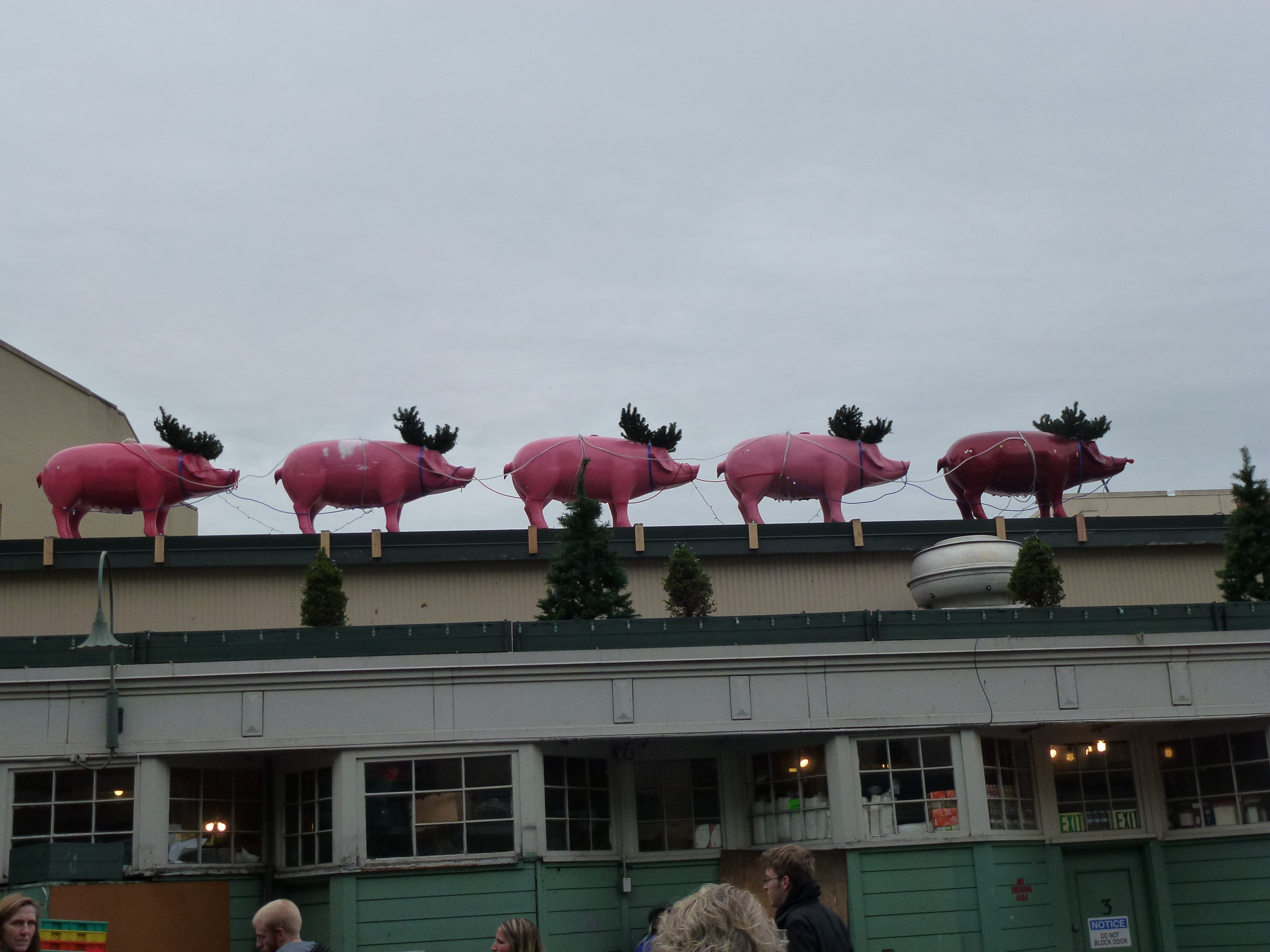 Slightly less aerodynamic than reindeer. Or reindeers, as they say in Michigan.
